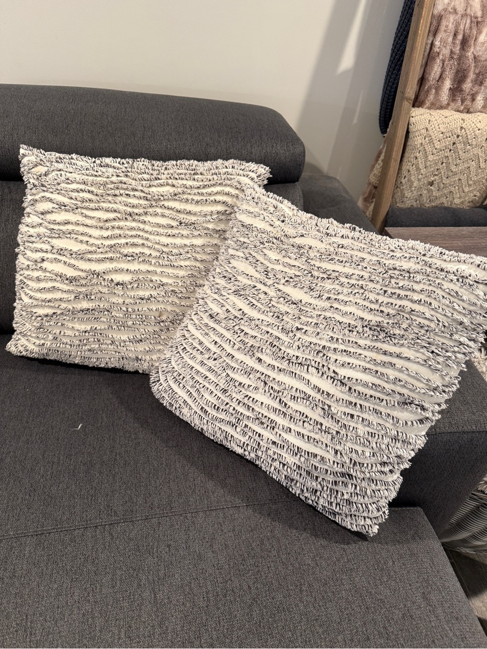 MARTHA STEWART PILLOWs 2 (20x20)